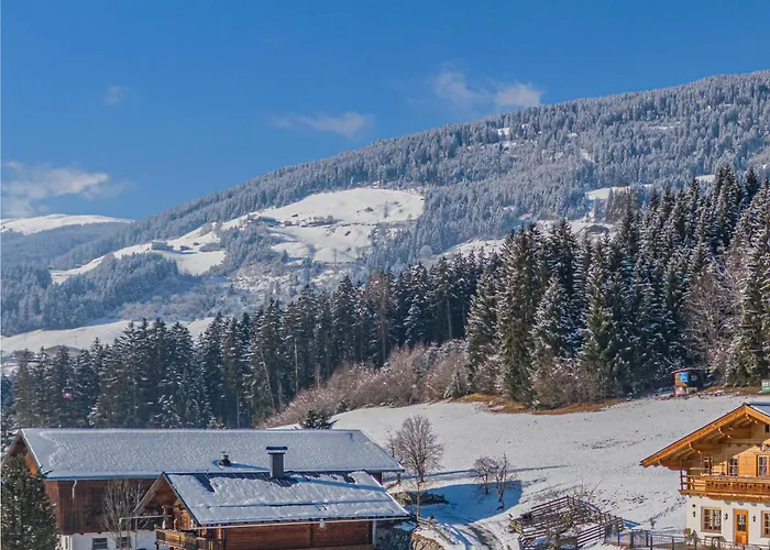 Horská chata Premium Xl